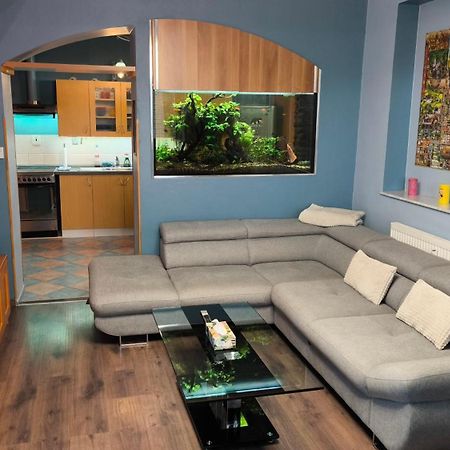 סוכדול נאד לוז'ניצי Suk Apartman 24 מראה חיצוני תמונה